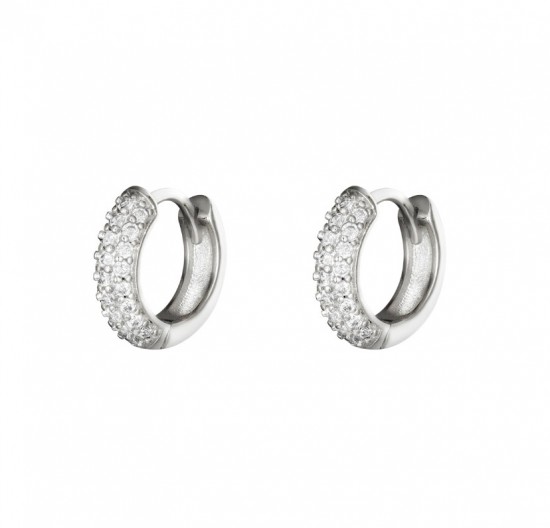 Earrings desire silver