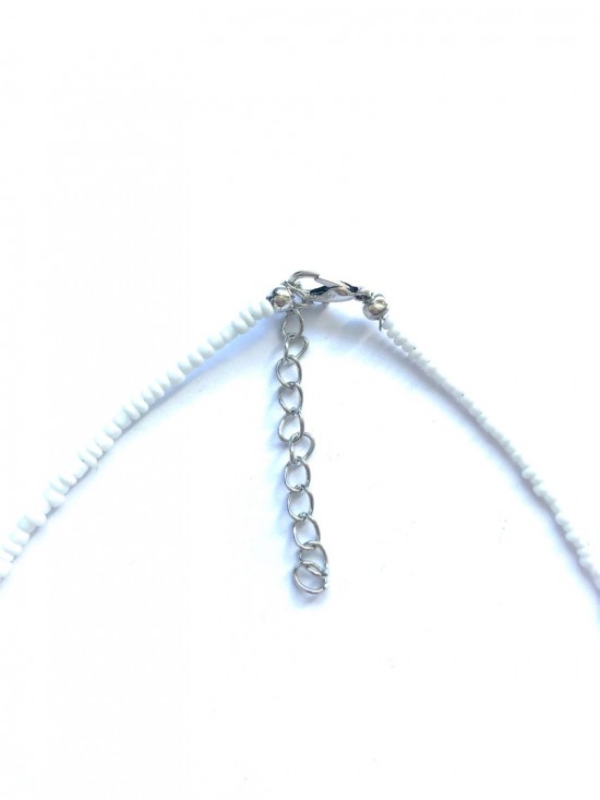 Necklace coins and shells