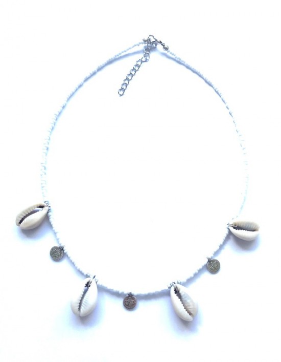 Necklace coins and shells